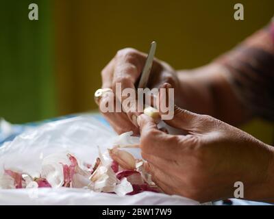 A woman is holding and peeling garlic using a knife Stock Photo