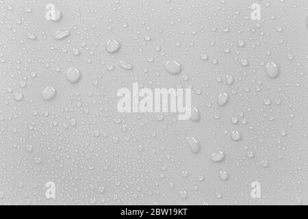 The concept of raindrops falling on a gray background Abstract wet white surface with bubbles on the surface Realistic pure water droplet water drops Stock Photo