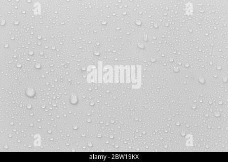 The concept of raindrops falling on a gray background Abstract wet white surface with bubbles on the surface Realistic pure water droplet water drops Stock Photo