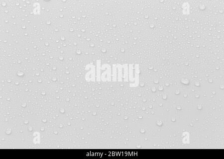 The concept of raindrops falling on a gray background Abstract wet white surface with bubbles on the surface Realistic pure water droplet water drops Stock Photo