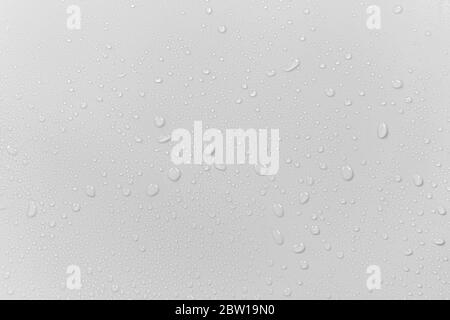 The concept of raindrops falling on a gray background Abstract wet white surface with bubbles on the surface Realistic pure water droplet water drops Stock Photo
