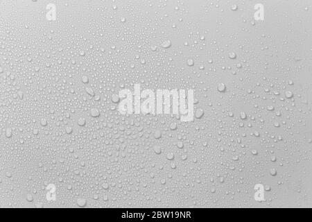 The concept of raindrops falling on a gray background Abstract wet white surface with bubbles on the surface Realistic pure water droplet water drops Stock Photo