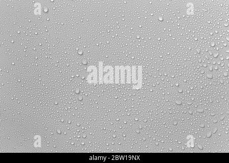 The concept of raindrops falling on a gray background Abstract wet white surface with bubbles on the surface Realistic pure water droplet water drops Stock Photo