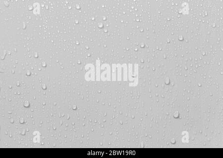 The concept of raindrops falling on a gray background Abstract wet white surface with bubbles on the surface Realistic pure water droplet water drops Stock Photo