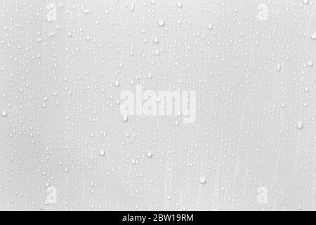 The concept of raindrops falling on a gray background Abstract wet white surface with bubbles on the surface Realistic pure water droplet water drops Stock Photo