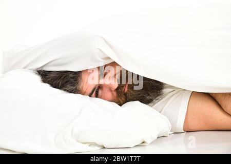 Guy with beard hides face under blanket. Lazy and cunning concept. Man wants to stay in bed, white background. Man with smiling cunning face lies on pillow under blanket. Stock Photo