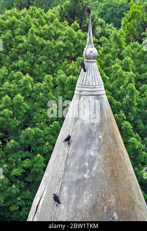 Several crows lined up on the pointed roof of an old castle in a beautiful park. Stock Photo