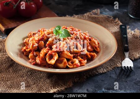 Fresh tortellini with homemade tomato sauce and parmesan cheese. Italian cuisine Stock Photo