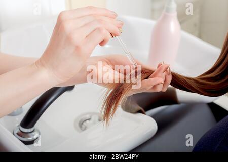 Female hands applying oil on long womans brown hair. Hair care cosmetics, bath beauty spa products. Female hair serum for treatment hair tips against Stock Photo
