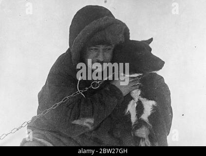These pictures, the first ever made at the North Pole, were flown to Moscow and from there to London. The Soviet scientific expedition led by Professor Otto Schmidt has succeeded in establishing on an ice floe in the frozen wilderness from which valuable scientific information and regular weather reports are now being sent by radio for the first time in history. Ivan Papanin, leader of the four men living on the ice floe, with the camp's dog friend. 28 June 1937 Stock Photo