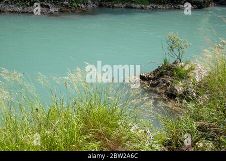 River at the bottom of Tara Canyon (Montenegro), summer landscape. Stock Photo