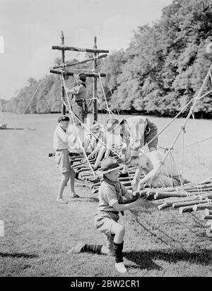 The County of Hertfordshire Boy Scout Rally is taking place in Hatfield Park over the weekend. Photo shows: A miniature suspension bridge built of three boughs and rope by the 25th South-West Herts troop. 1 June 1939 Stock Photo