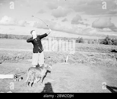 Playing with bow and arrow, Major J G Hayter, acknowledged expert at the annual sport of bow and arrow golf, met Colonel E St George Kirke, the captain of the club, in a match at the Hankley Common Golf Club, Surrey. He conceded a stroke a gale. Major Hayter shoots his arrow into a box instead of a hole. His average for most of the Surrey courses is in the seventies. Photo shows: Major J G Hayter shooting from the first tee while his pet Irish Settler dog Becky watches the flight of the arrow.. 18 October 1938 Stock Photo