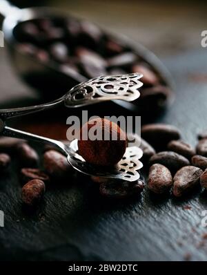Chocolate truffle beside bulk measuring scoop with cocoa beans on