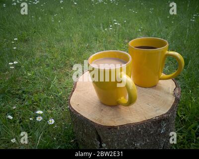 Two yellow coffee mugs with standing on wooden trunk in garden, one with black coffee and one with white coffee Stock Photo