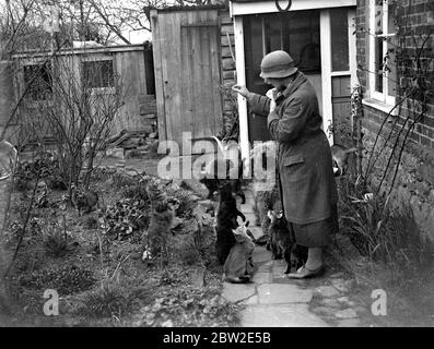 Miss Nancy Rutherford outside the house with her cats and dogs. 1934 Stock Photo