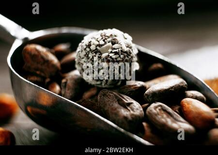 Coconut candy on cocoa beans laying inside measuring scoop Stock Photo