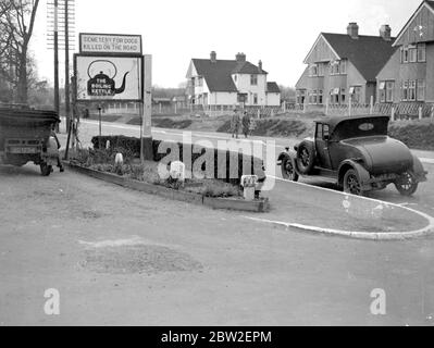 Dog Cemetery in Hildenborough, Kent. 1933 Stock Photo