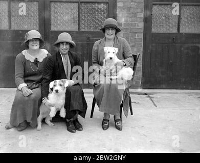 Midland Sealyham Club's Show at Rugby. Mrs Forsyth-Forrest (right), Miss Mann Thomson (left) and Miss brooke with Miss Smith and Bit of Swank. 21 May 1924 Stock Photo