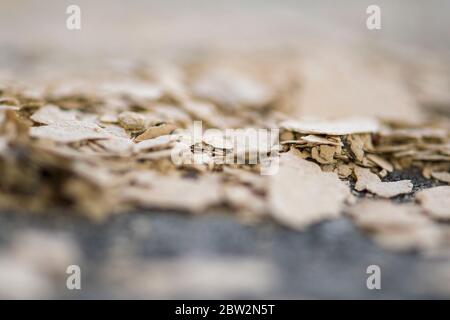 crumbling slate rock disintegrates into layers Stock Photo