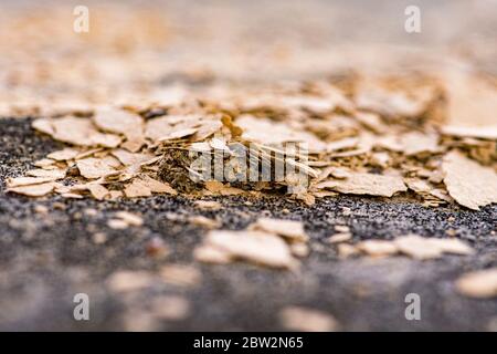 crumbling slate rock disintegrates into layers Stock Photo