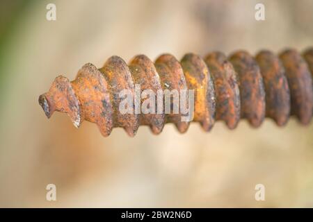 rusty old screw with blurred background Stock Photo
