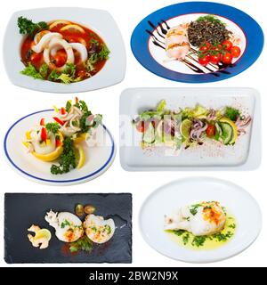 Collection of assorted seafood meals with calamari and cuttles isolated on white Stock Photo