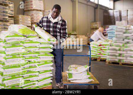 Attentive African American man working in fertilizer warehouse, stacking bags on trolley Stock Photo