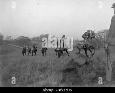 Morning on the Epsom Downs . The winter string in canter over Epsom Downs during early morning training in readiness for the opening of the flat season . 25 January 1932 Stock Photo