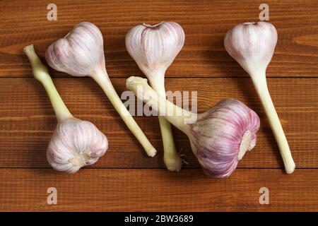 Five large heads of young garlic lie on a brown wooden plank table. Closeup Stock Photo