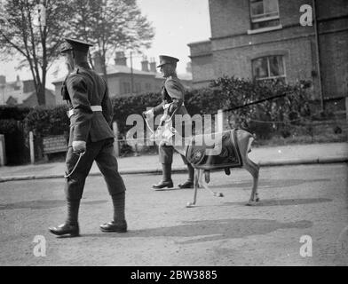 Antelope Mascot , the same as their regimental badge . The 2nd ...