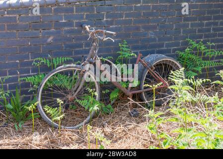 Rusty bike salvaged from the water on the towpath of the Birmingham and Fazeley Canal in Nechells, Birmingham Stock Photo