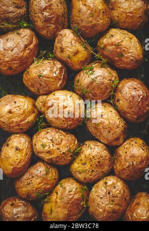 Oven baked whole potatoes with seasoning and herbs in metalic tray. Roasted potatoes in jackets. Stock Photo