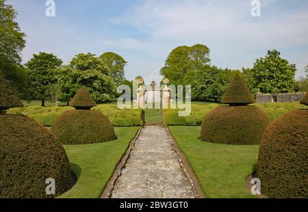 A path edged with with rounded topiary bushes with a conical top leads up to an old wrought iron gate Stock Photo