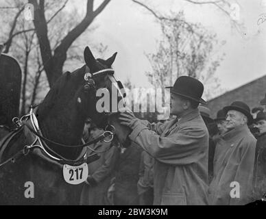 Easter Monday van horse paradein Regent ' s Park . The Easter Monday van horse parade organised by the London Van Horse Parade Society was held in the Inner Circle , Regent ; s Park . This was the 28 annual show . Photo shows , Lieutebebt Colonel Sir Percy Laurie judging an entry . 13 April 1936 Stock Photo