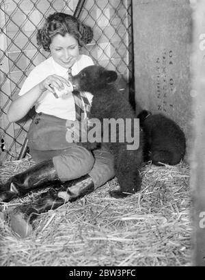 Eight week old bear cubs travel from Canada to join zoo pets corner . Gift from Toronto , reared on milk . Two small black bear cubs which have travelled all the way from Canada have just arrived at the London Zoo and are now installed in the Pets corner . Eight weeks old , they were presented by the Toronto Zoo and have already been christened Peter and Paul . The cubs are under the care of Miss Beryl Hudson , one of the girl assistants at the Pets Corner , and receiv a daily ration of milk . Photo shows , one of the bear cubs putting up a greedy paw as she sqauts on Miss Beryl Hudson ' s lap Stock Photo