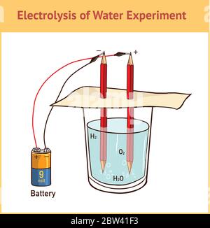 Vector illustration of Electrolysis: Splitting Water Stock Vector Image ...