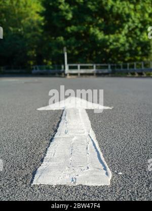 Close up of painted white arrow on ground tarmac in UK supermarket outdoor car park, summer sunshine. Stock Photo