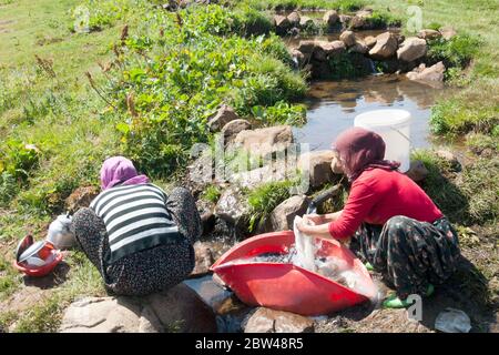 Asien, Türkei, Provinz Bingöl, Frauen vom Stamm der Beritan beim waschen der Wäsche auf einer Hochweide in den Serafettin-Bergen östlich des Provinzst Stock Photo