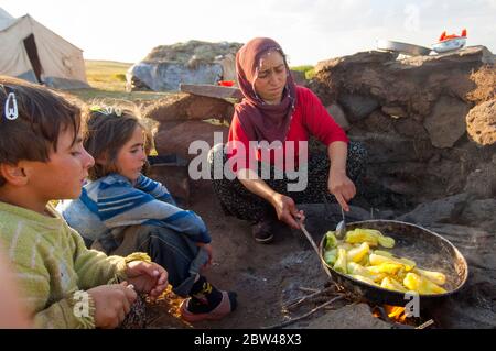 Asien, Türkei, Provinz Bingöl, Frau vom Stamm der Beritan-Nomaden an  Feuerstelle beim Zubereiten von Essen auf einer Hochweide in den Serafettin-Berg Stock Photo