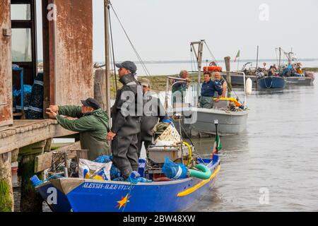 Vongolari hi-res stock photography and images - Alamy
