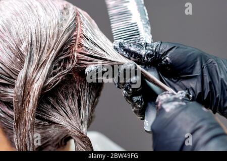 Hands of hairdresser are dyeing hair of woman, close up. Stock Photo