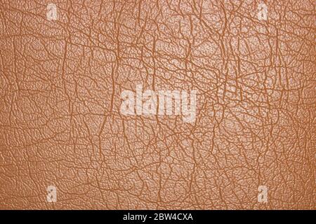 A picture of leather texture background Stock Photo