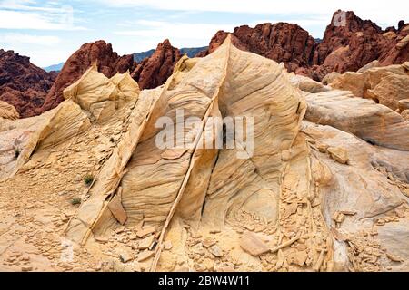 NV00199-00...NEVADA - Layered sandstone with compaction bands near the deep red rocks of the Fire Canyon in Valley of Fire State Park. Stock Photo
