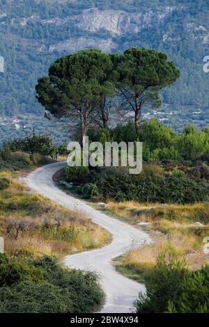 A small country road winds its way through grass and bushes and disappears behind trees on a small hill in Alicante Spain Stock Photo