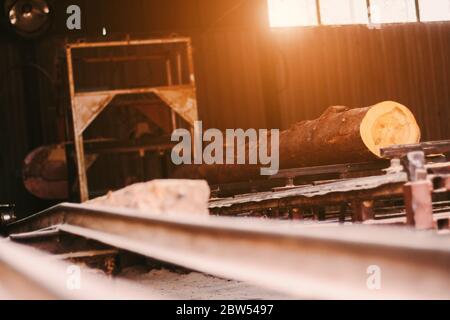 Fresh cut pine tree log processing on sawing machine at timber production mill. Wooden material processing and cutting at wood manufacturing factory. Stock Photo