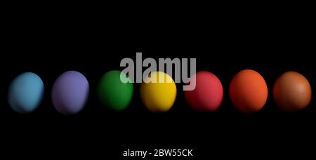 Collection of colorful easter egg chicken on black background Stock Photo