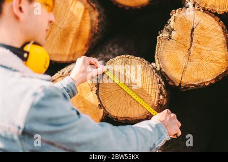 Back view male forester using measuring tape to measure cut tree logs at sawmill. Man carpenter or wood production warehouse manager check size of cho Stock Photo