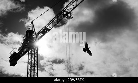 Tower crane and flying bird silhouette on dramatic sky with sun beams shining in clouds. Black and white lifting device with rolling trolley on jib. Stock Photo