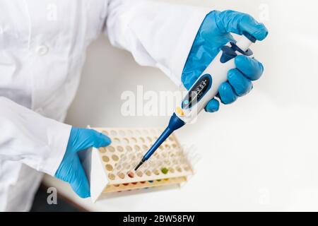 Scientist with pipette in hand dripping fluid to glass test tubes in rack on white background. Precise laboratory tool for measuring liquids volume. Stock Photo